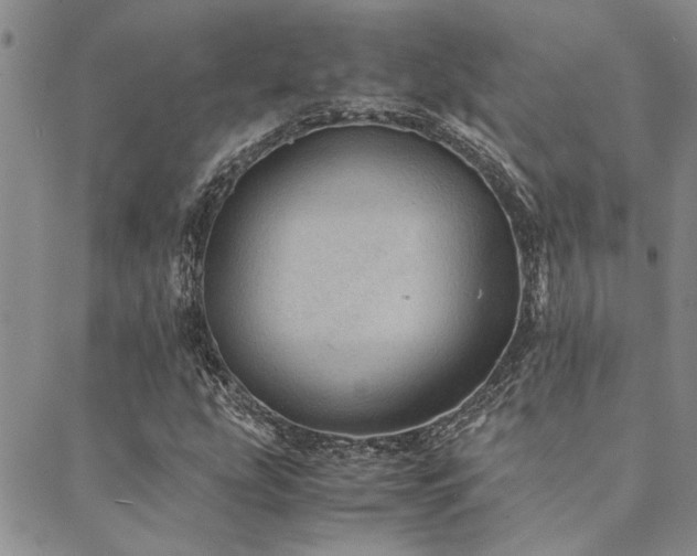 X0000089711207200706211335