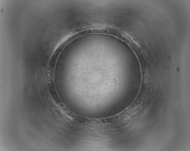 X0000089711208200706211335