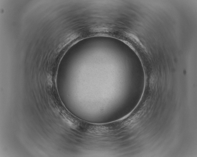 X0000089711209200706211335