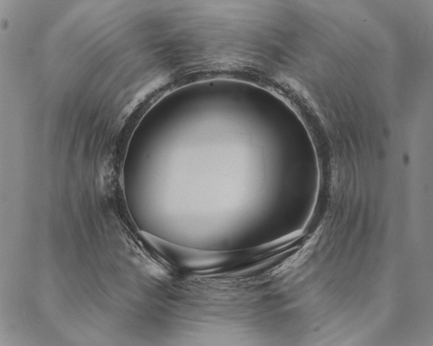 X0000089711210200706211335