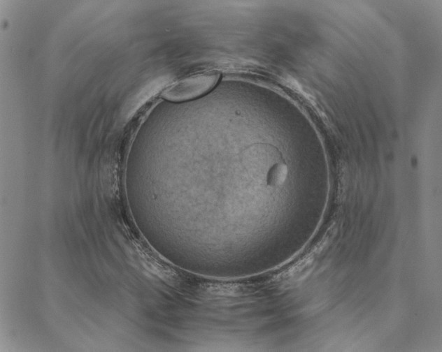 X0000089711211200706211335