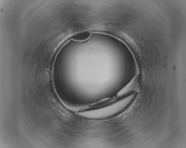 X0000089711212200706211335