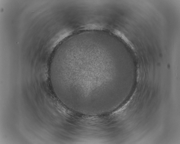 X0000089711213200706211335