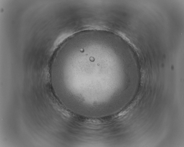 X0000089711215200706211335