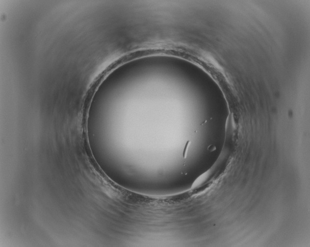 X0000089711216200706211335