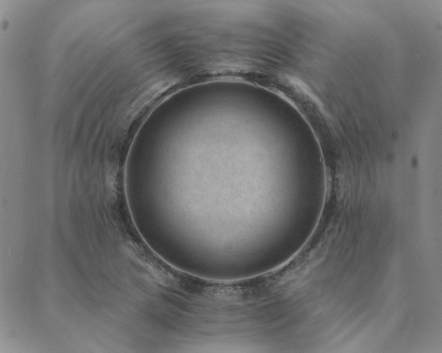 X0000089711217200706211335