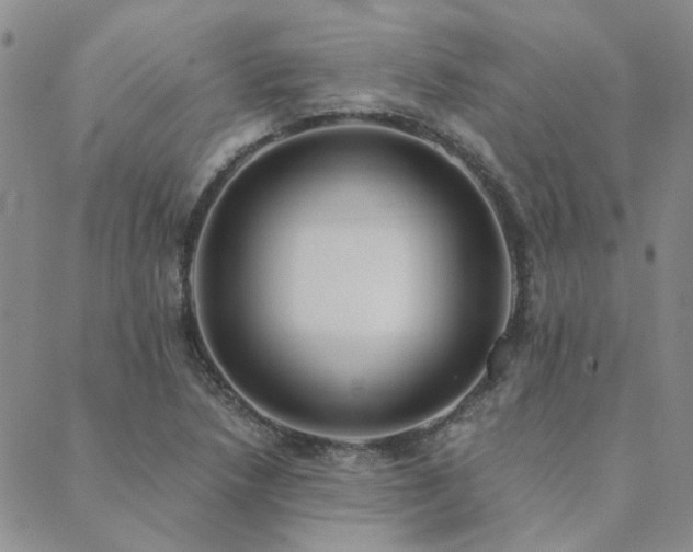 X0000089711218200706211335