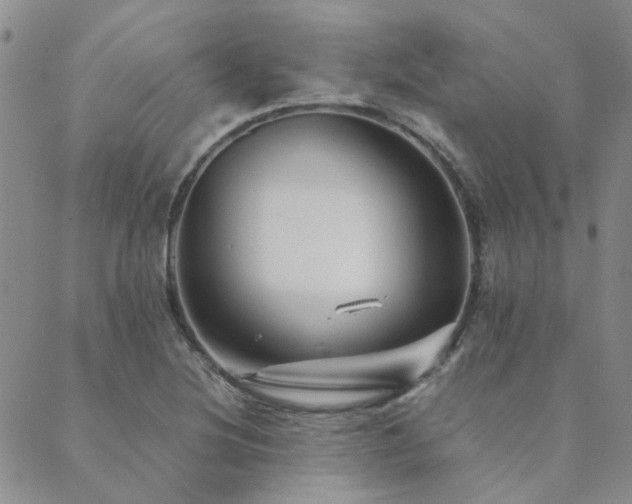 X0000089711220200706211335