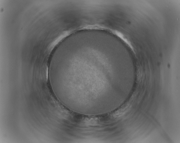 X0000089711221200706211335