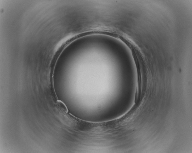 X0000089711222200706211335