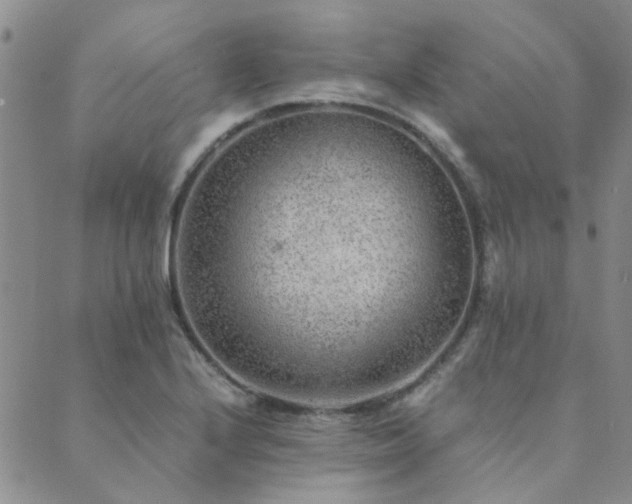 X0000089711224200706211335