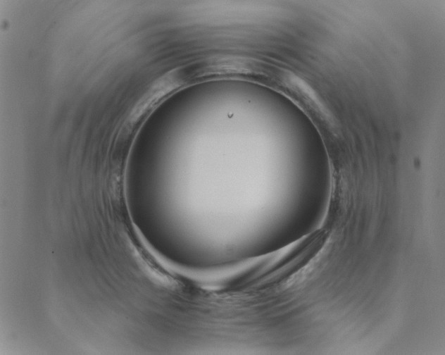 X0000089711225200706211335