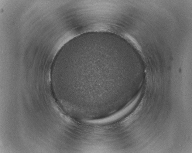 X0000089711226200706211335