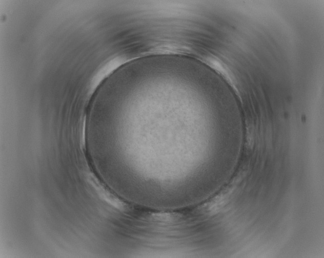 X0000089711227200706211335