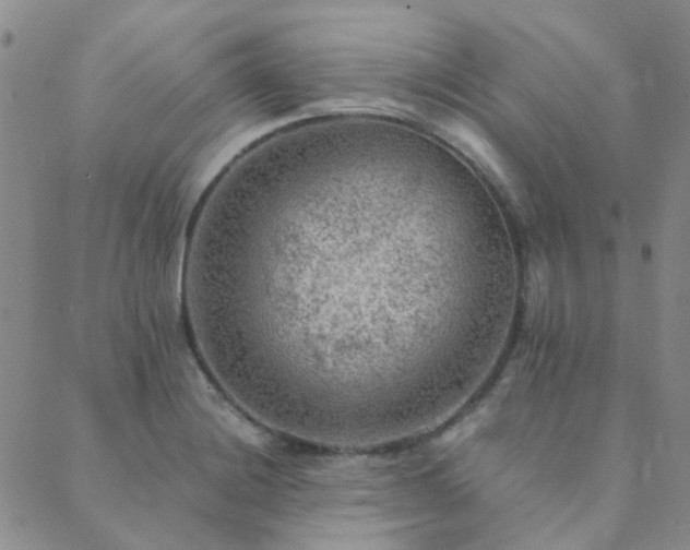 X0000089711228200706211335