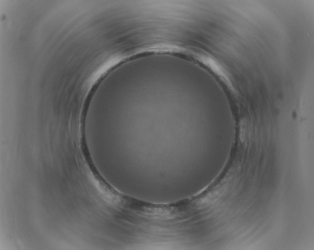 X0000089711229200706211335