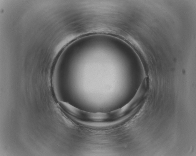 X0000089711230200706211335