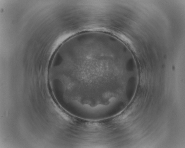 X0000089711231200706211335