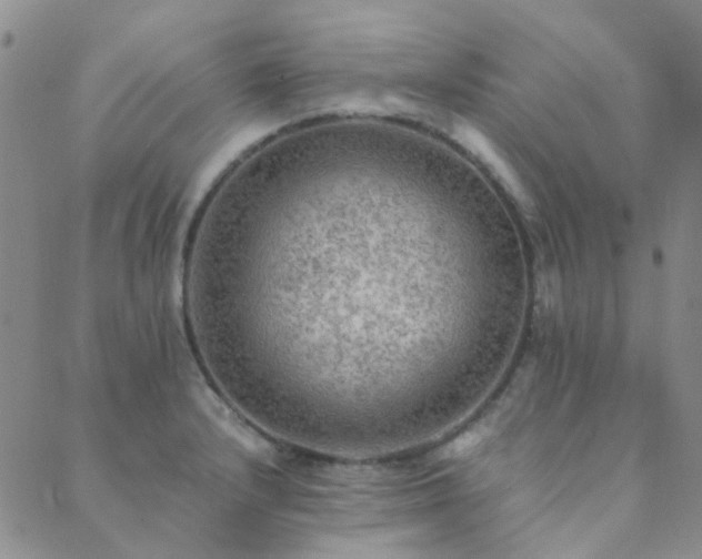 X0000089711232200706211335