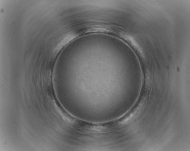 X0000089711233200706211335