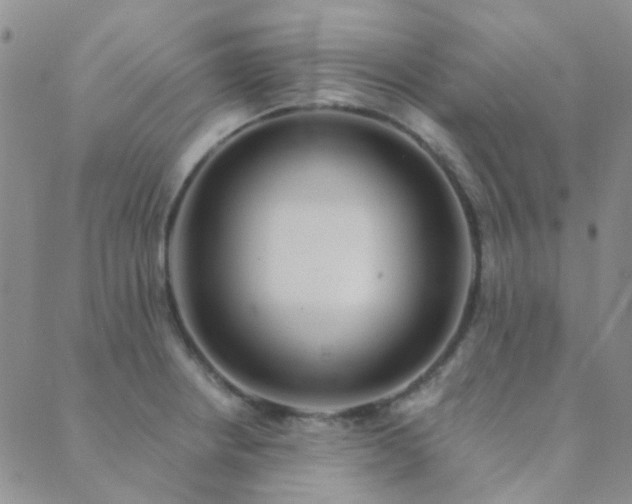 X0000089711234200706211335