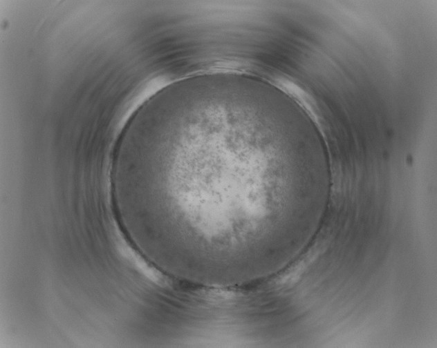 X0000089711235200706211335