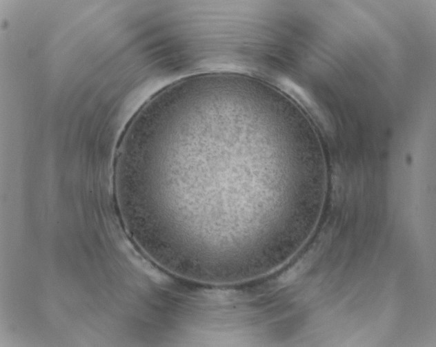 X0000089711236200706211335