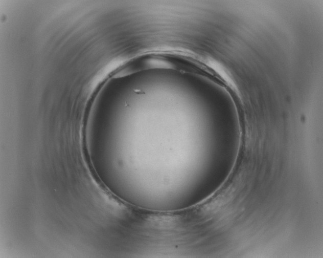 X0000089711237200706211335