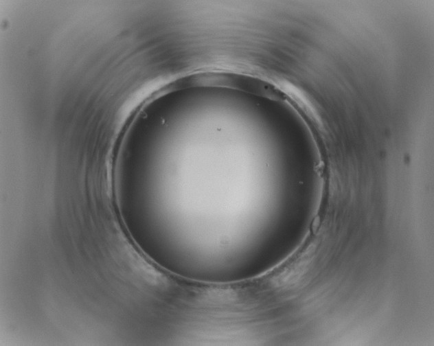 X0000089711238200706211335