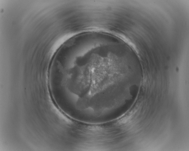 X0000089711239200706211335