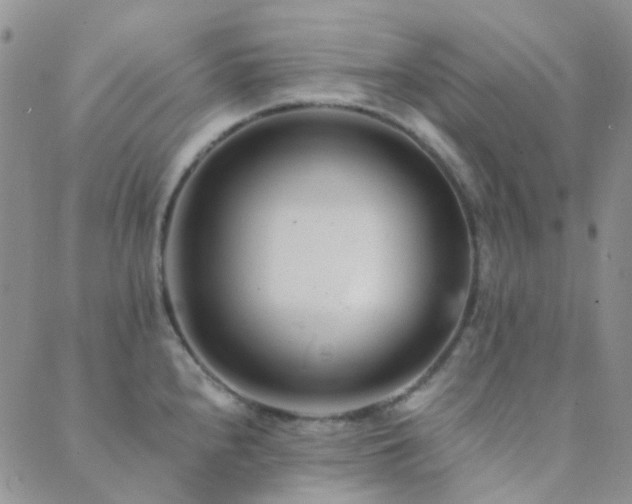 X0000089711240200706211335