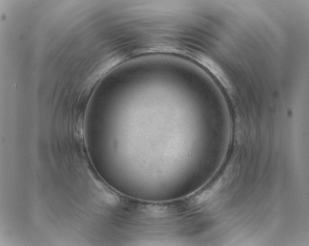 X0000089711241200706211335