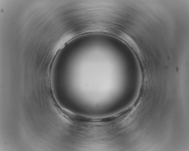 X0000089711242200706211335