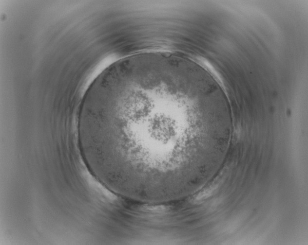 X0000089711243200706211335