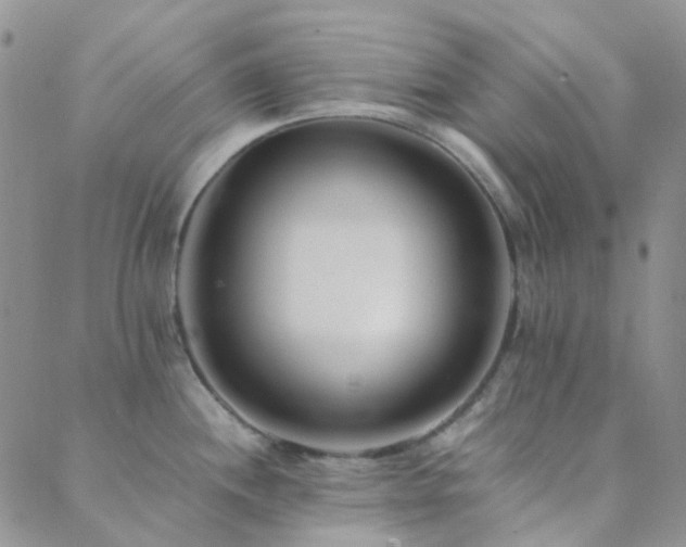 X0000089711244200706211335