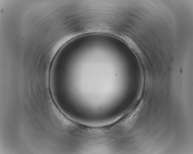 X0000089711246200706211335