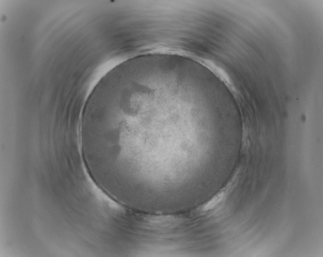 X0000089711247200706211335