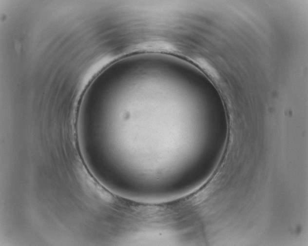 X0000089711248200706211335