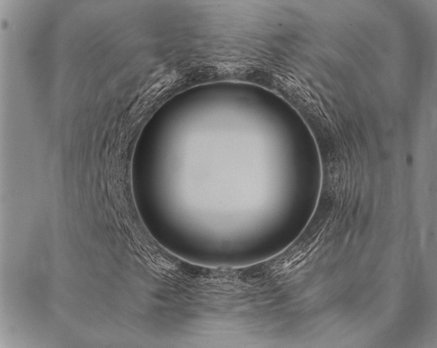 X0000089711249200706211334