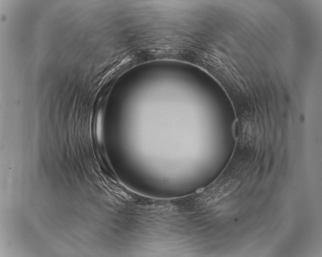 X0000089711250200706211334