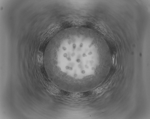 X0000089711251200706211334