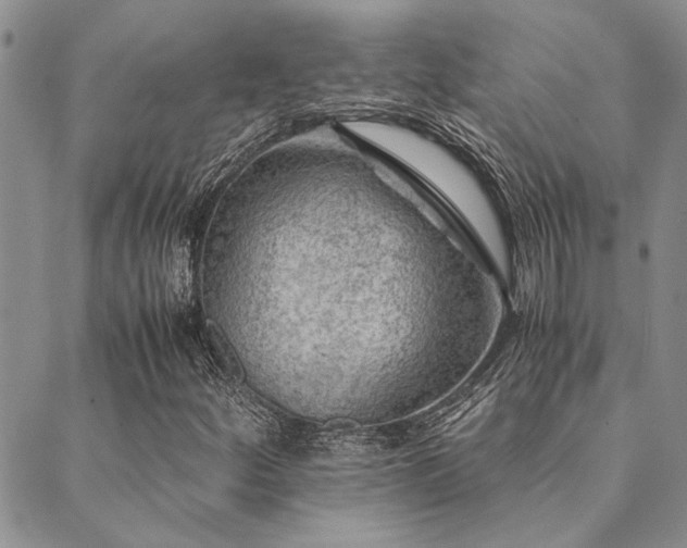 X0000089711252200706211334