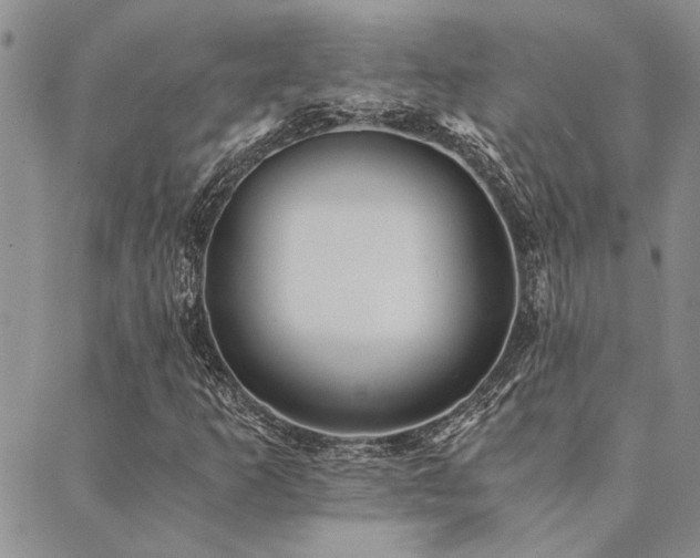 X0000089711253200706211334