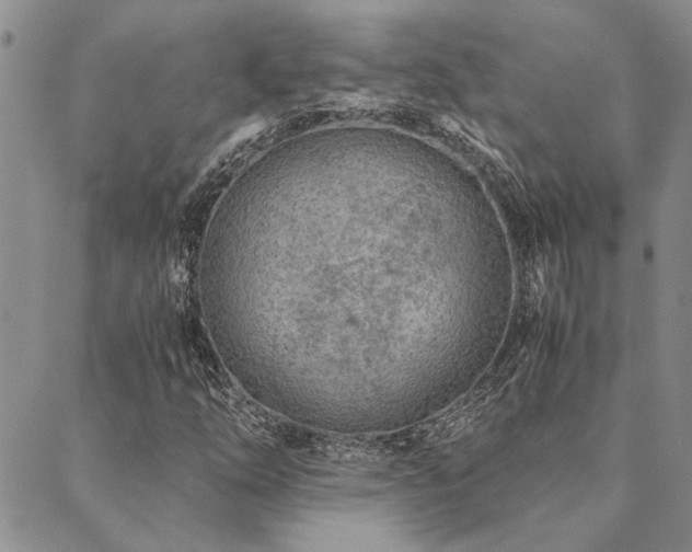 X0000089711254200706211334