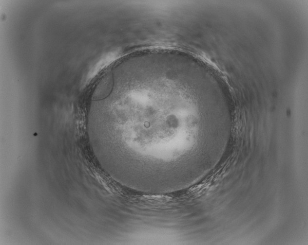 X0000089711255200706211334