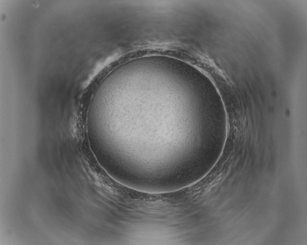 X0000089711256200706211334