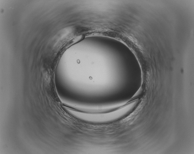 X0000089711257200706211334