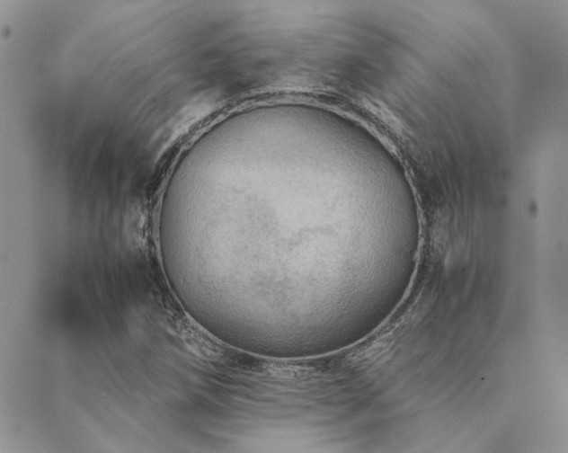 X0000089711258200706211334