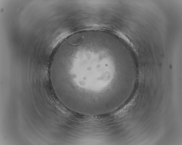 X0000089711259200706211334