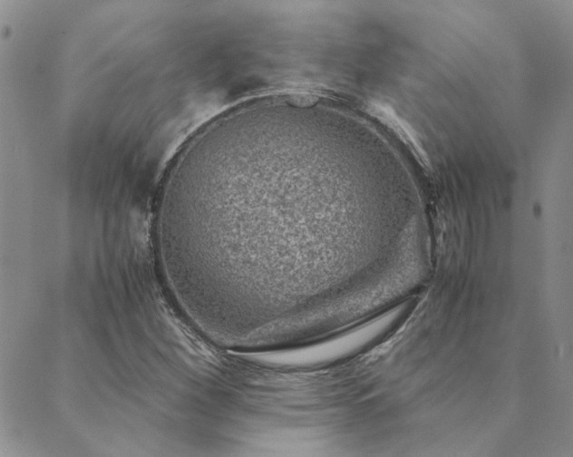 X0000089711260200706211334